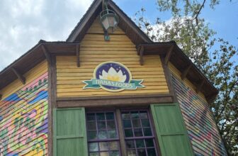 Disney Made It Extra Tough to Journey What You Need, Simply in Time for Tiana’s Bayou Journey