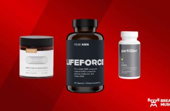 Finest NMN Complement of 2024, In keeping with a Diet Coach