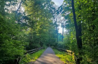 The Little Issues E-newsletter #421 – Life, laughter, and plenty of nice meals!