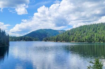 The Little Issues E-newsletter #422 – Life, laughter, and many nice meals!