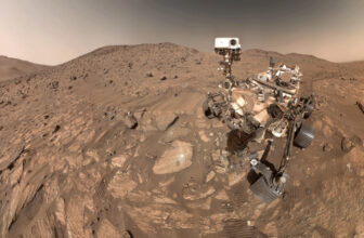 NASA’s Perseverance rover discovered a rock on Mars that would point out historical life