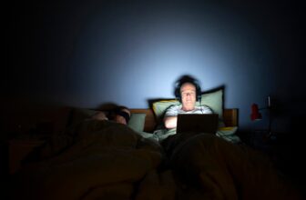 Evening owls exhibit higher cognition, analysis suggests