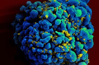 Newest HIV Treatment Case Is the Most Encouraging One But