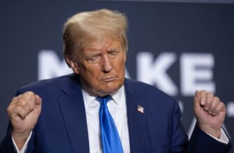 Meta Provides Trump Free Rein on Instagram, Fb Once more