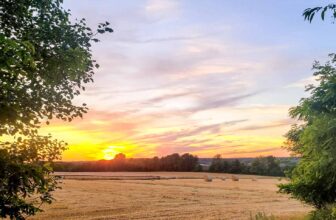 The Little Issues E-newsletter #424 – Life, laughter, and many nice meals!