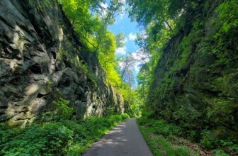 The Little Issues Publication #426 – Life, laughter, and many nice meals!