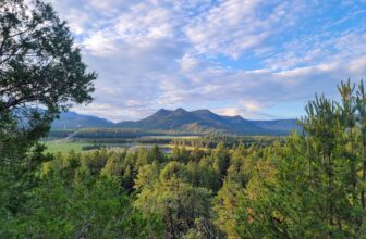 The Little Issues E-newsletter #427 – Life, laughter, and plenty of nice meals!