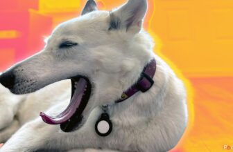 Apple AirTag 2 redesign rumors