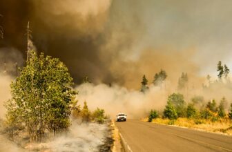 5 thrilling documentaries about actual life disasters