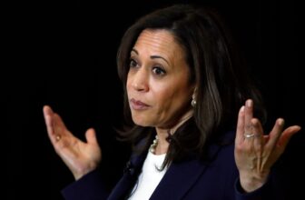 Kamala Harris Desires to Get Nearer to Crypto Bros, If They’ll Let Her