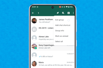 depart a WhatsApp group with out anybody understanding