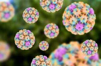 HPV Would possibly Be a Sperm Killer