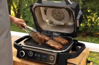 This Ninja Woodfire Outside Grill and Smoker Is 20% off for Labor Day