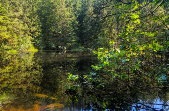 The Little Issues E-newsletter #430 – Life, laughter, and plenty of nice meals!