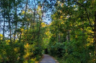 The Little Issues Publication #432 – Life, laughter, and plenty of nice meals!