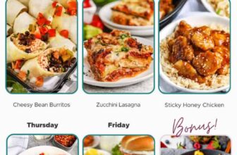 Weekly Meal Plan Aug 19, 2024