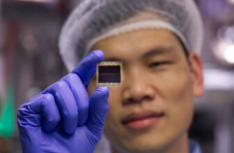 Oxford scientists’ new light-absorbing materials can flip on a regular basis objects into photo voltaic panels