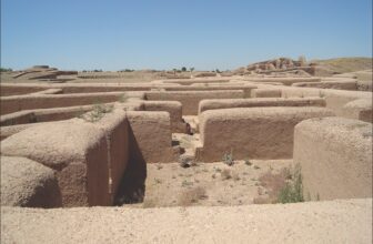 Historical Mexican Little one Sacrifice Linked to Elite Inbreeding