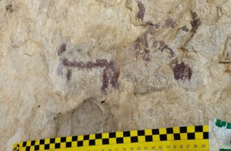 Man Destroyed a 6,000-12 months-Previous Cave Portray for a Fb Picture