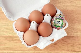 A Tamagotchi made with actual egg