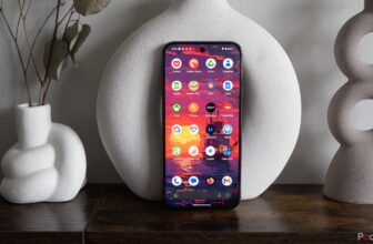 Pixel 9 Professional XL evaluate: A images powerhouse