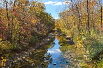 The Little Issues Publication #440 – Life, laughter, and plenty of nice meals!