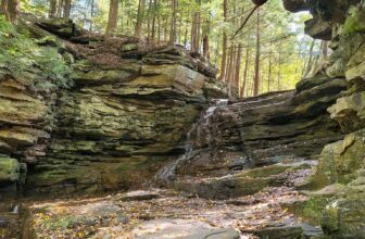 The Little Issues Publication #443 – Life, laughter, and many nice meals!