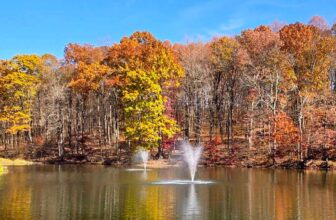 The Little Issues E-newsletter #442 – Life, laughter, and plenty of nice meals!