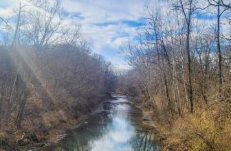 The Little Issues E-newsletter #445 – Life, laughter, and plenty of nice meals!