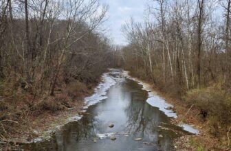 The Little Issues Publication #446 – Life, laughter, and plenty of nice meals!