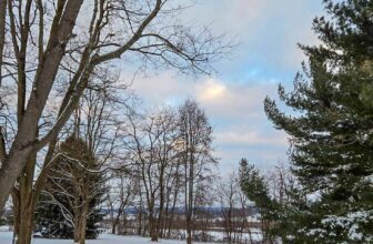 The Little Issues Publication #450 – Life, laughter, and many nice meals!