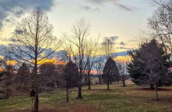 The Little Issues Publication #458 – Life, laughter, and many nice meals!