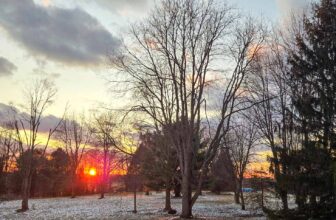 The Little Issues E-newsletter #459 – Life, laughter, and many nice meals!