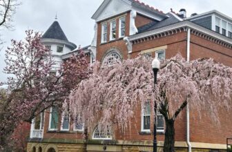 The Little Issues E-newsletter #463 – Life, laughter, and many nice meals!