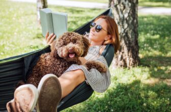 The way to Make Relaxation Really feel Productive (So You Really Do It)