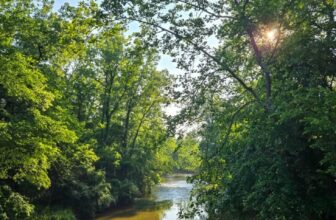 The Little Issues E-newsletter #473 – Life, laughter, and plenty of nice meals!