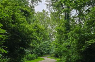 The Little Issues E-newsletter #477 – Life, laughter, and many nice meals!