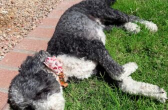 8.22 Friday Faves – The Fitnessista