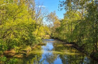 The Little Issues Publication #490 – Life, laughter, and many nice meals!